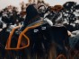 Neutrino Omega G3 — lampy w Can-Am Renegade XMR, zbliżenie przodu